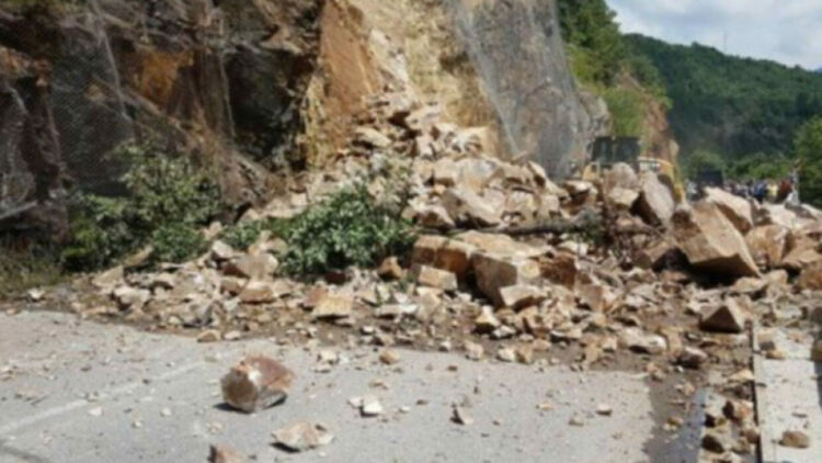 Паднали скали и дървета по пътя Батак - Доспат затрудниха движението 