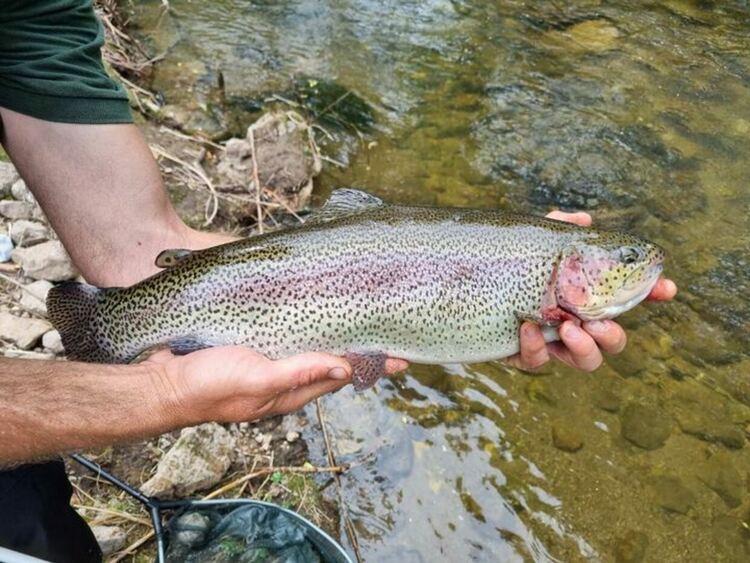 Състезание по риболов за деца организират на река Въча