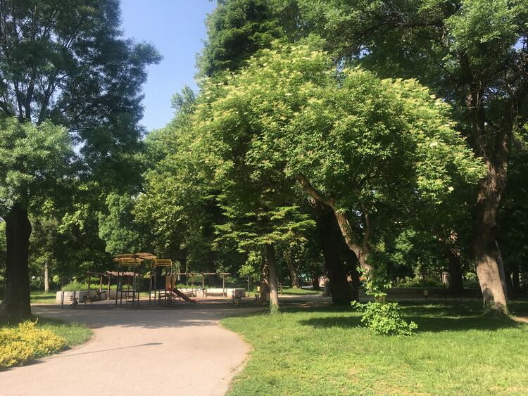 Променлива облачност, превалявания с гръмотевици на места