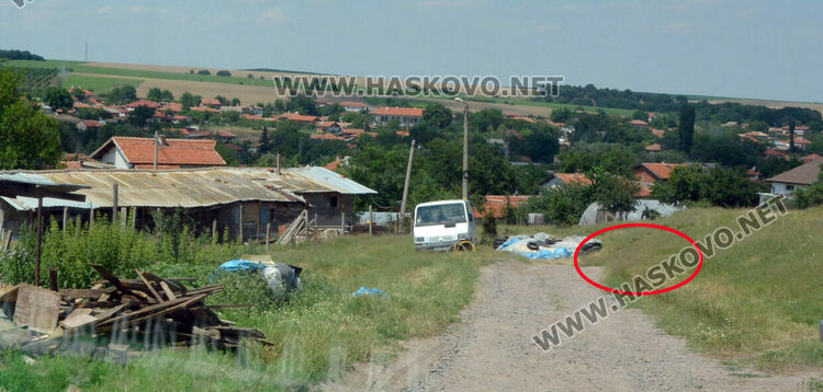 Многократно бил глобяван собственикът на кучето, нахапало детето