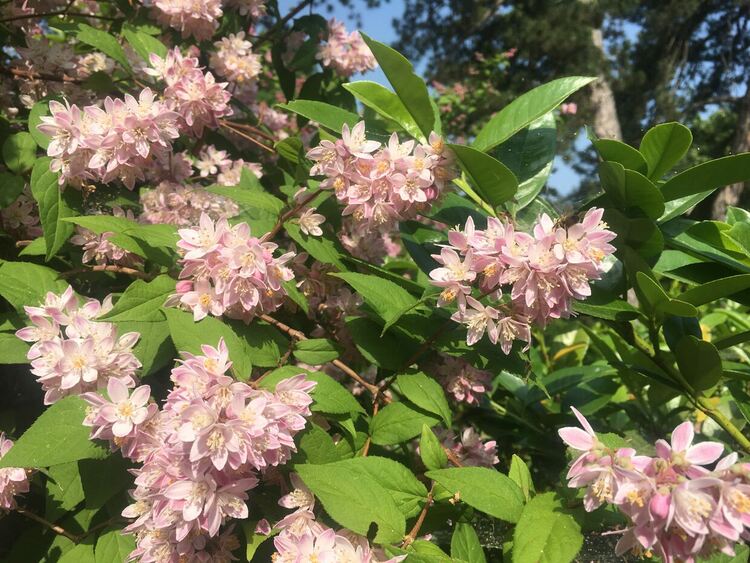 Предимно слънчево, превалявания следобед