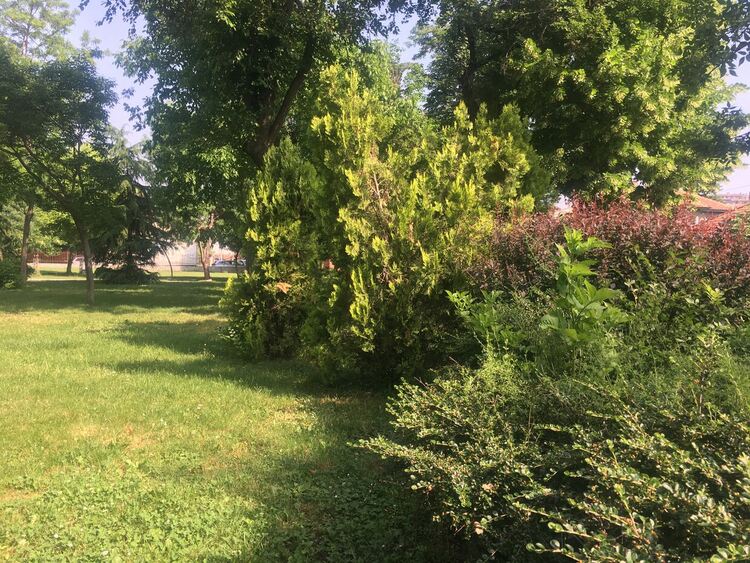 Свъсено утро, слънце и облаци през деня