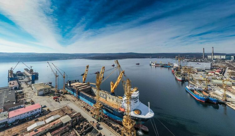 МТГ - Делфин