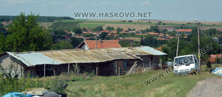 БАБХ на проверка във Въгларово, след инцидента с нахапаното от куче дете