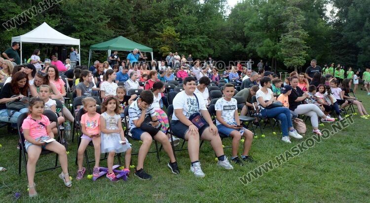 Завесата е вдигната: театър  и още нещо...