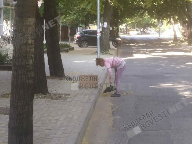 Отново дойде ред на метенето на липов цвят от улиците на Кърджали, роми го предават за чай в изкупните пунктове 