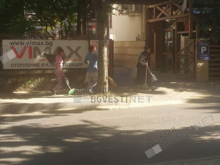 Отново дойде ред на метенето на липов цвят от улиците на Кърджали, роми го предават за чай в изкупните пунктове 