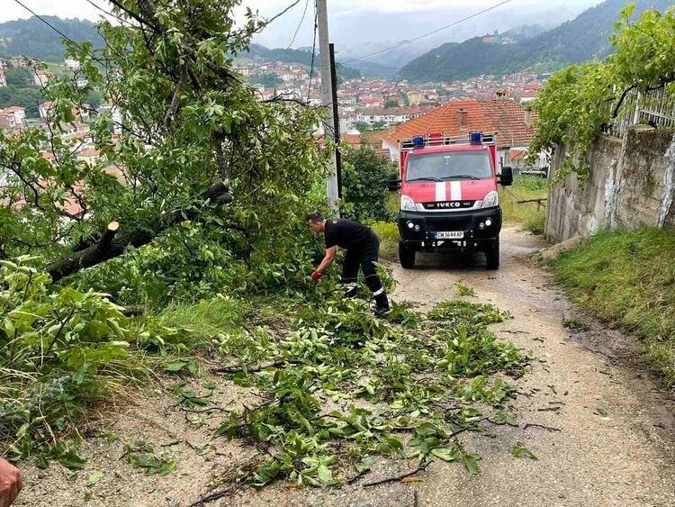 Наводнени къщи и изкоренени дървета в Неделино след пороя /галерия/