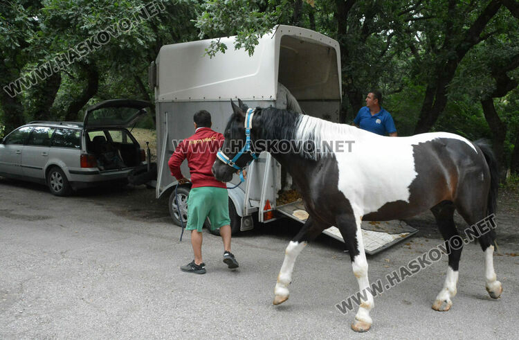 Деца яздиха коне в хасковския парк „Кенана“