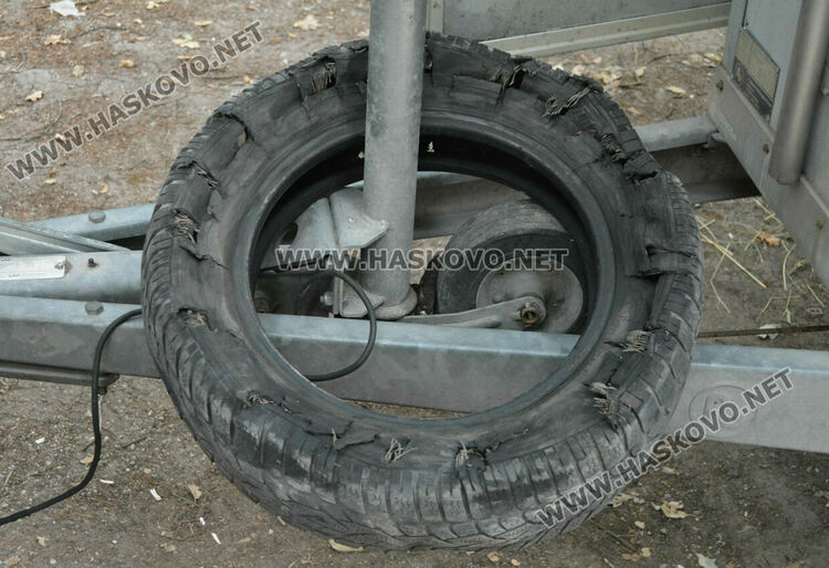 Деца яздиха коне в хасковския парк „Кенана“