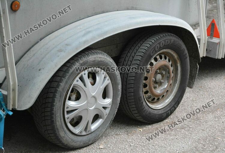 Деца яздиха коне в хасковския парк „Кенана“