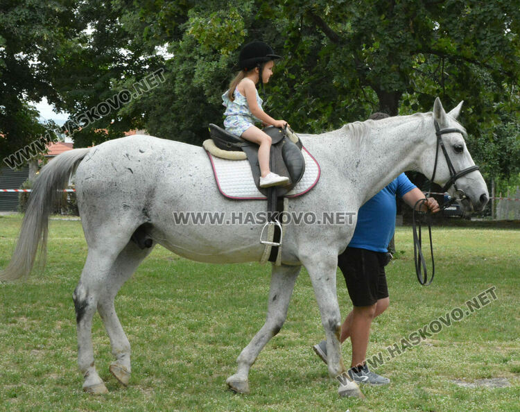 Деца яздиха коне в хасковския парк „Кенана“