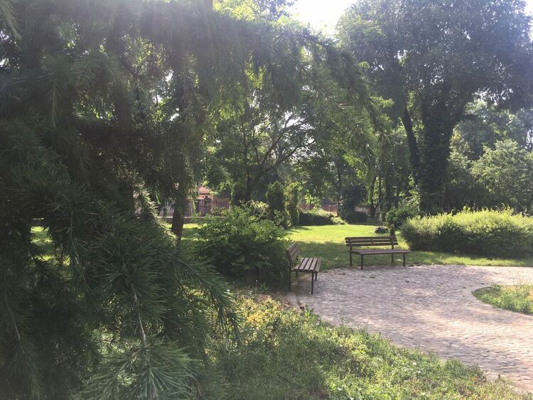 Заоблачаване с краткотрайни валежи с гръмотевици