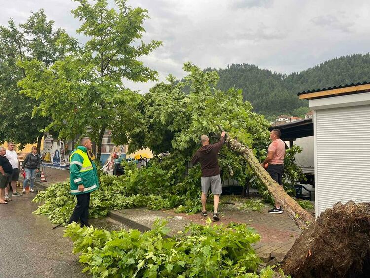 Наводнени къщи и изкоренени дървета в Неделино след пороя /галерия/