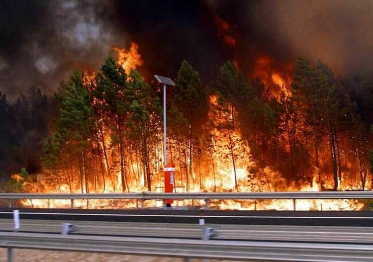 Трети ден бушува големият горски пожар край Мармарис
