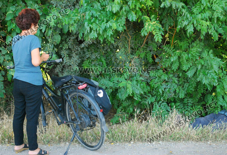 Мъж падна от електрическо колело и почина на място
