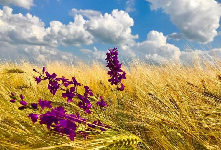 Топло време с разкъсана облачност следобед