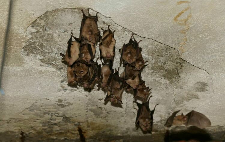 снимки : РИОСВ-Хасково