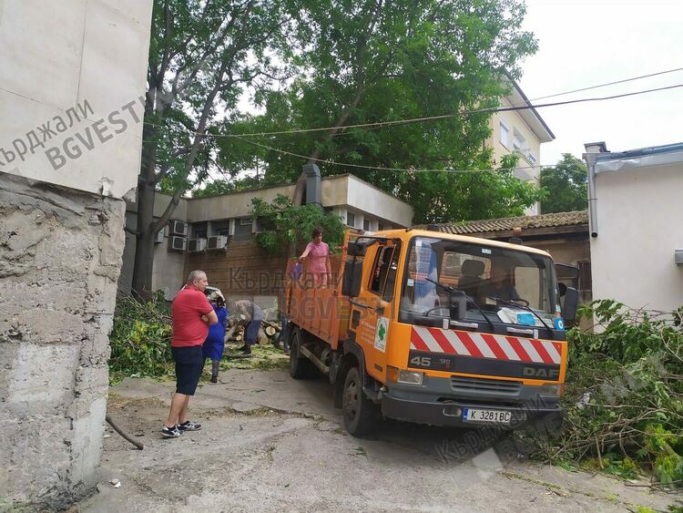 Изсичане на дървета в центъра на Кърджали предизвика спонтанно недоволство