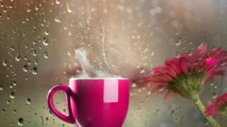 Облачно с валежи във вторник