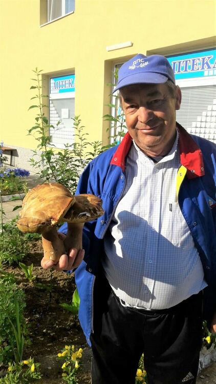 Опитен гъбар от Падина намери двойка-манатарка, тежаща около 1 кг
