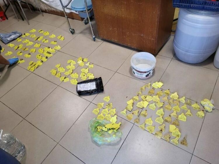 Мащабна операция на ГДБОП и европейската прокуратура, 8 задържани за злоупотреби с евросредства по земеделски програми