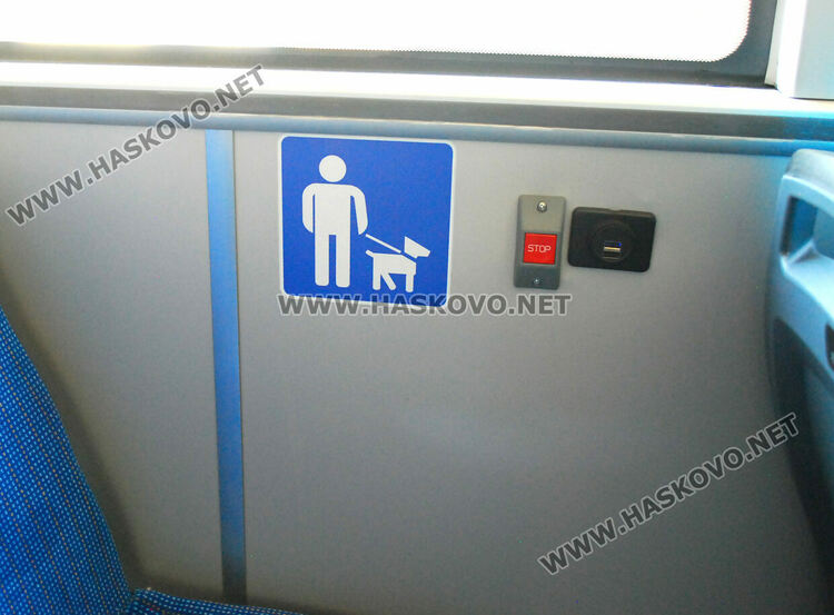 До месец пускат 5 нови електробуса в Хасково, билетът ще е 1 лев