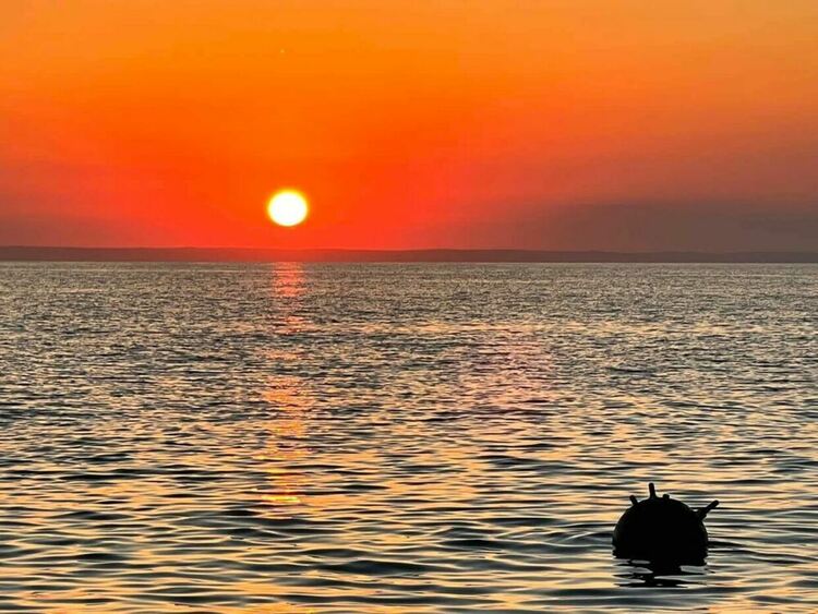 Военноморските сили унищожиха мина до Камчия