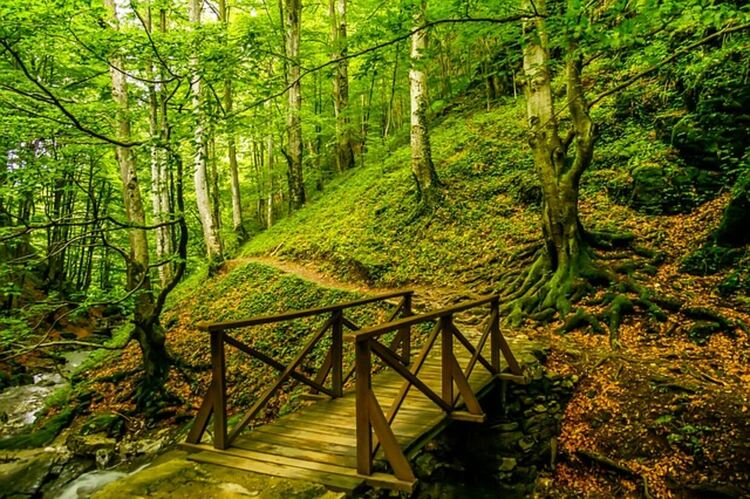 Слънчева и топла събота