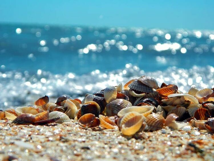 Жега и в неделя