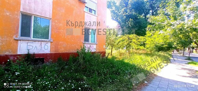 Междублокови пространства по ул.”Републиканска”обраснаха с високи треви, граждани се опасяват от поява на марсилска треска