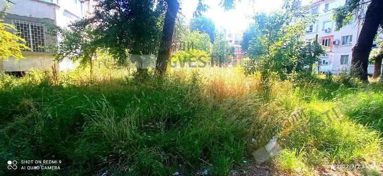 Междублокови пространства по ул.”Републиканска”обраснаха с високи треви, граждани се опасяват от поява на марсилска треска