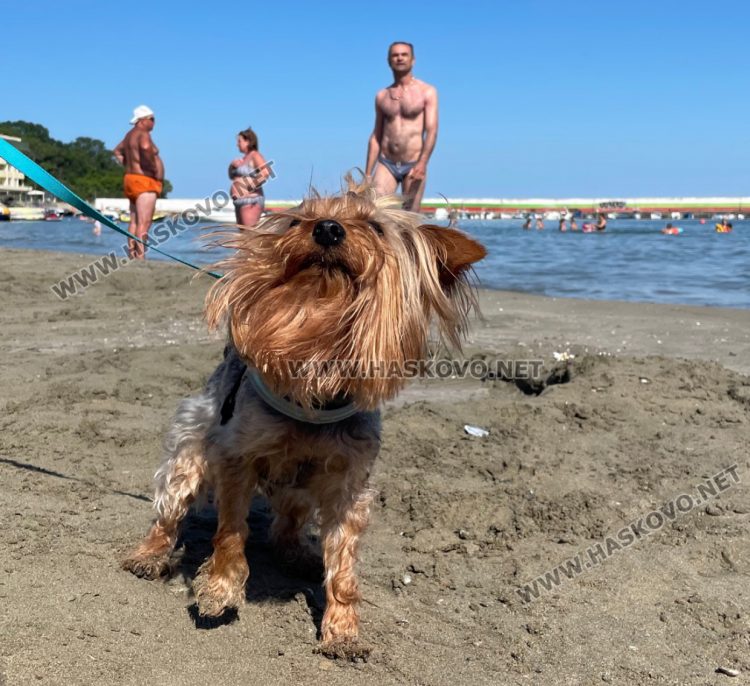 Слънце, облаци и дъжд в четвъртък