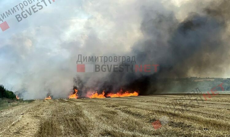 Пожар бушува край Димитровград