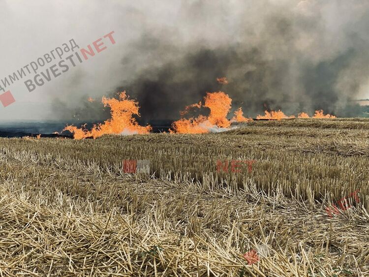 Пожар бушува край Димитровград
