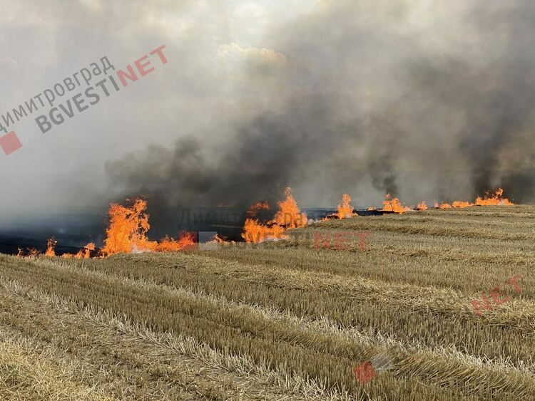Пожар бушува край Димитровград