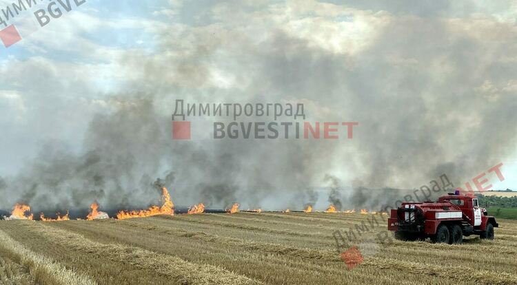 Пожар бушува край Димитровград