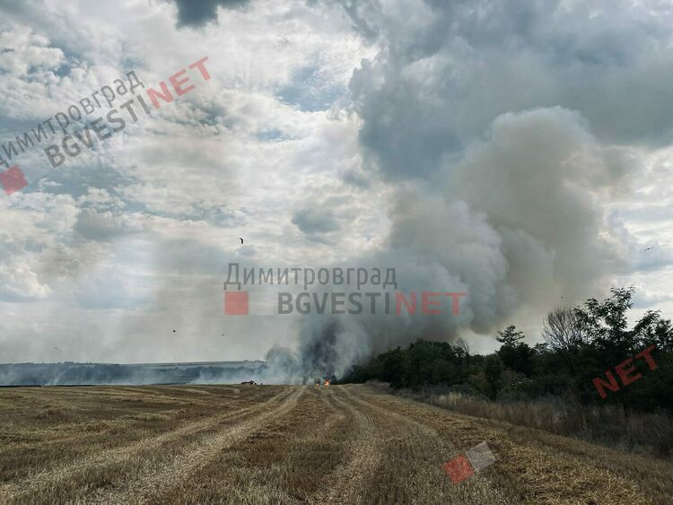 Пожар бушува край Димитровград