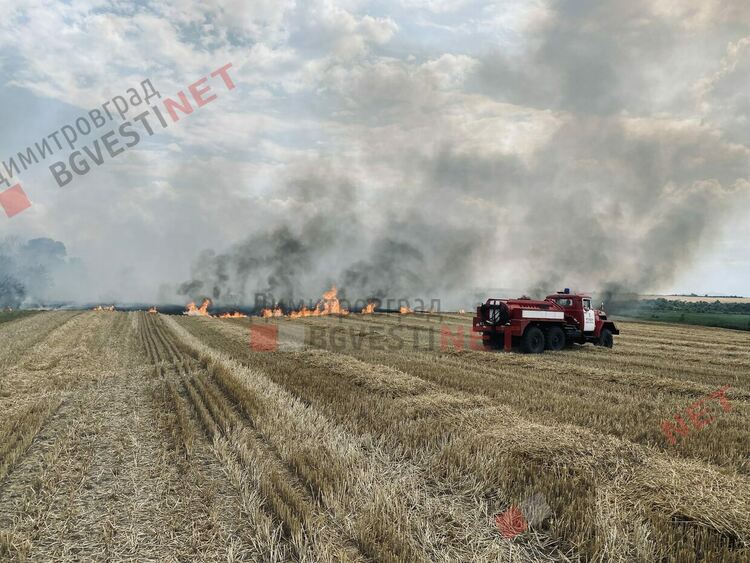 Пожар бушува край Димитровград