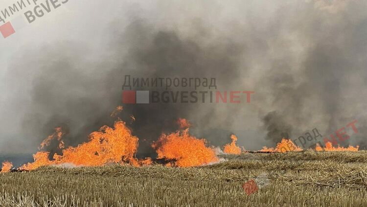 Пожар бушува край Димитровград