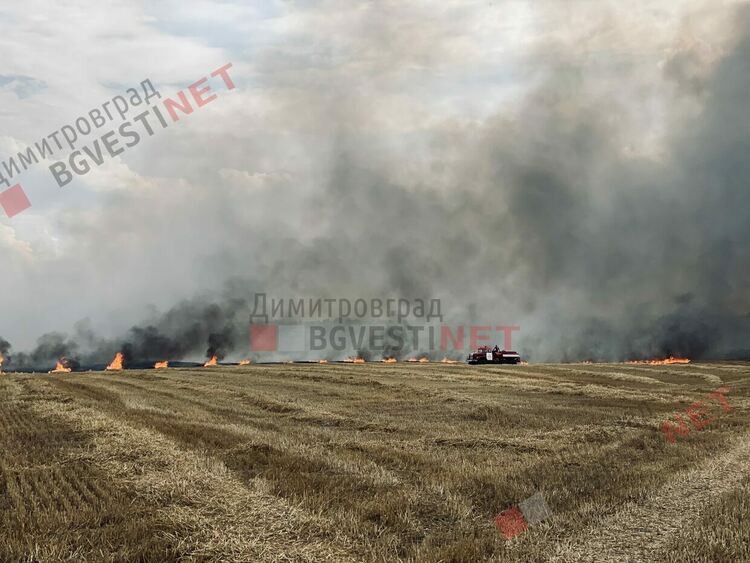 Пожар бушува край Димитровград