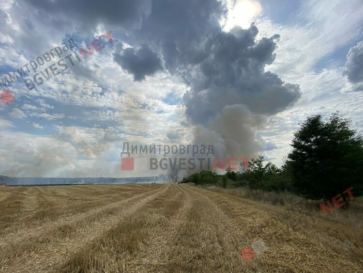 Пожар бушува край Димитровград