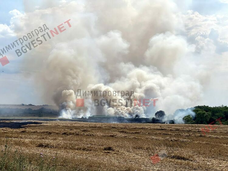 Пожар бушува край Димитровград