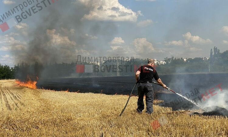 Пожар бушува край Димитровград