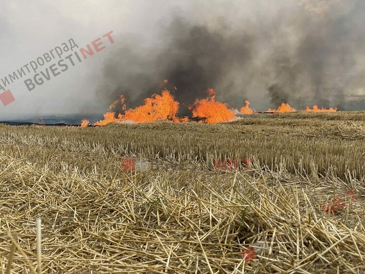 Пожар бушува край Димитровград