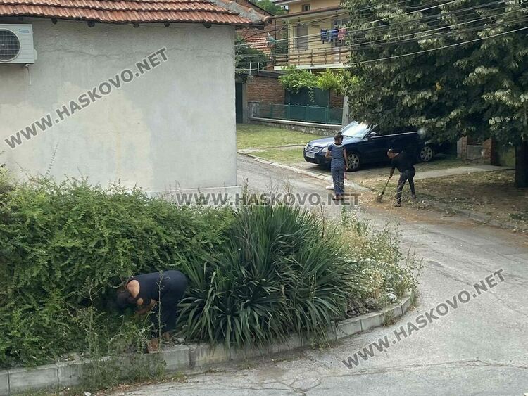 Читател: Метат липа от улица в Хасково