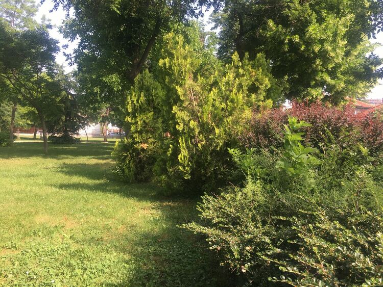 Приятно топло в неделя