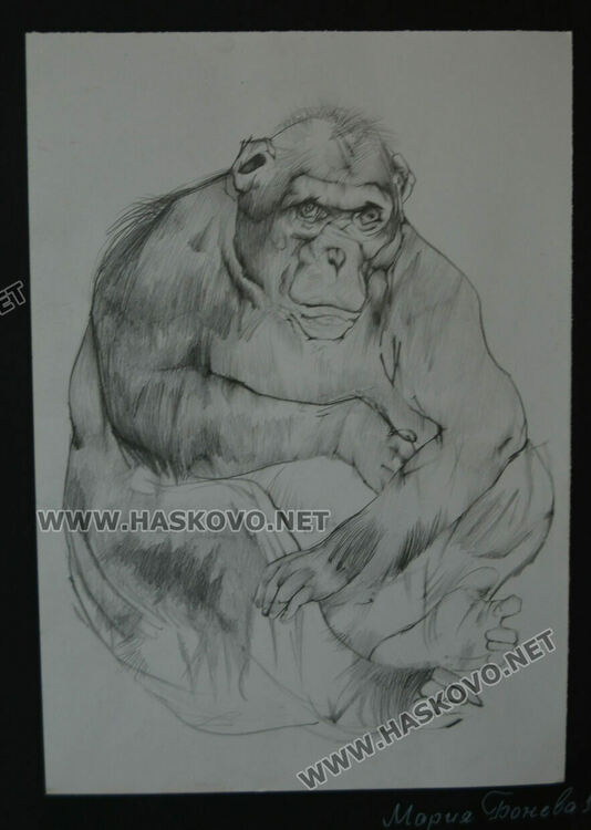 Млади художници от „Пастело“ с участие в Международен фестивал на акварела