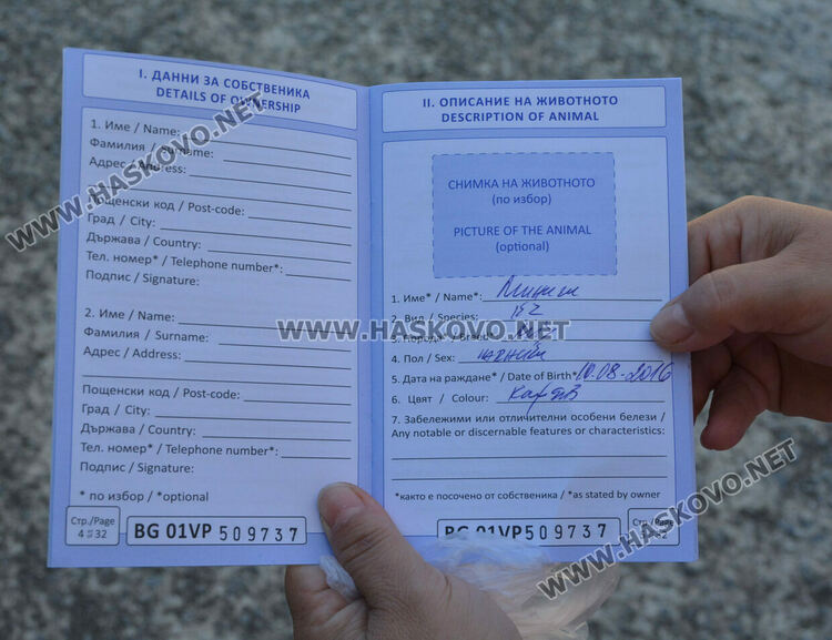 Хасковлии: Отровиха 3 кучета и котка край Тих труд