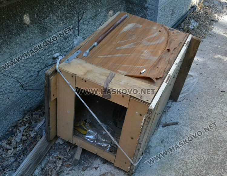 Хасковлии: Отровиха 3 кучета и котка край Тих труд